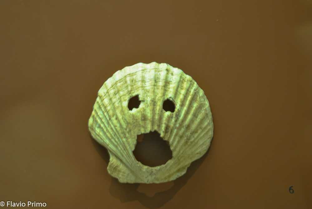 photo in the gallery