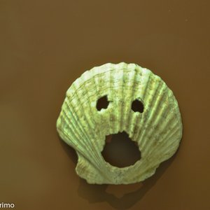 big size photo in the gallery