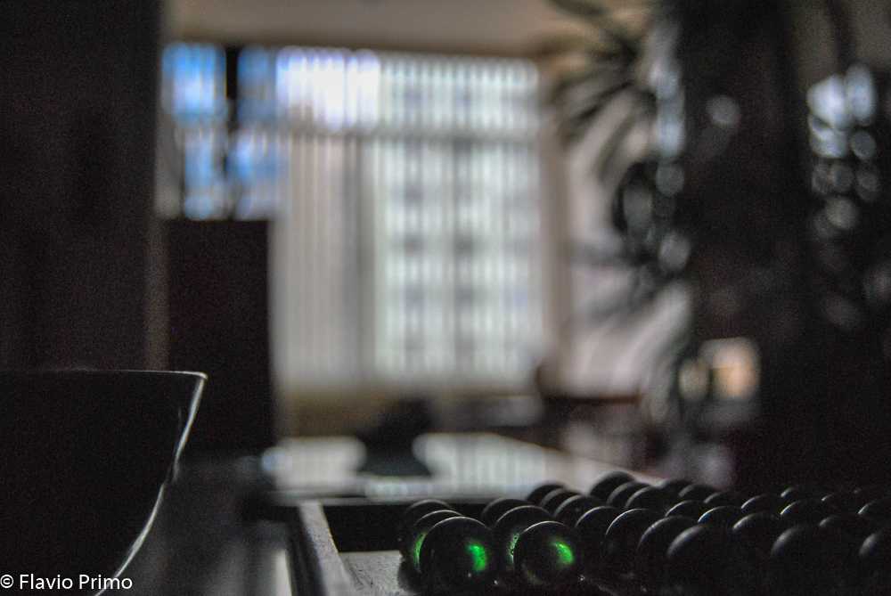 photo in the gallery