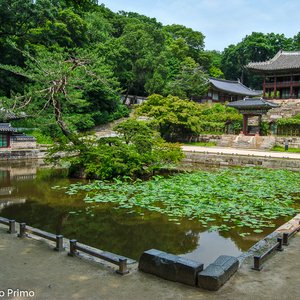 big size photo in the gallery