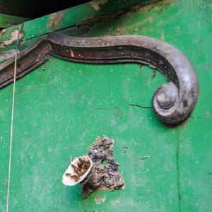 big size photo in the gallery