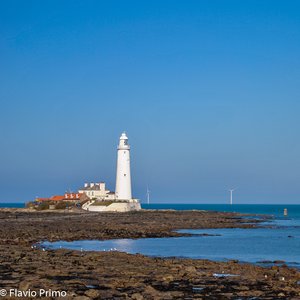 big size photo in the gallery