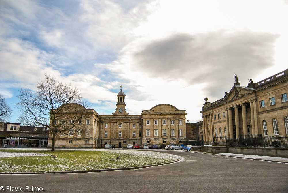 photo in the gallery