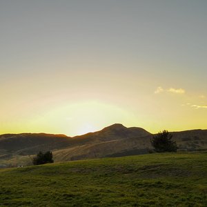 big size photo in the gallery