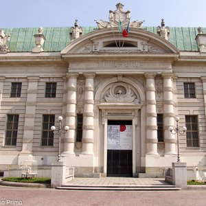 big size photo in the gallery