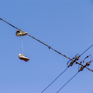 big size photo in the gallery