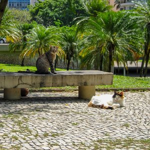 big size photo in the gallery