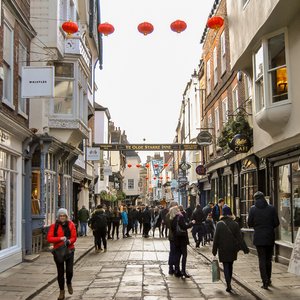 big size photo in the gallery