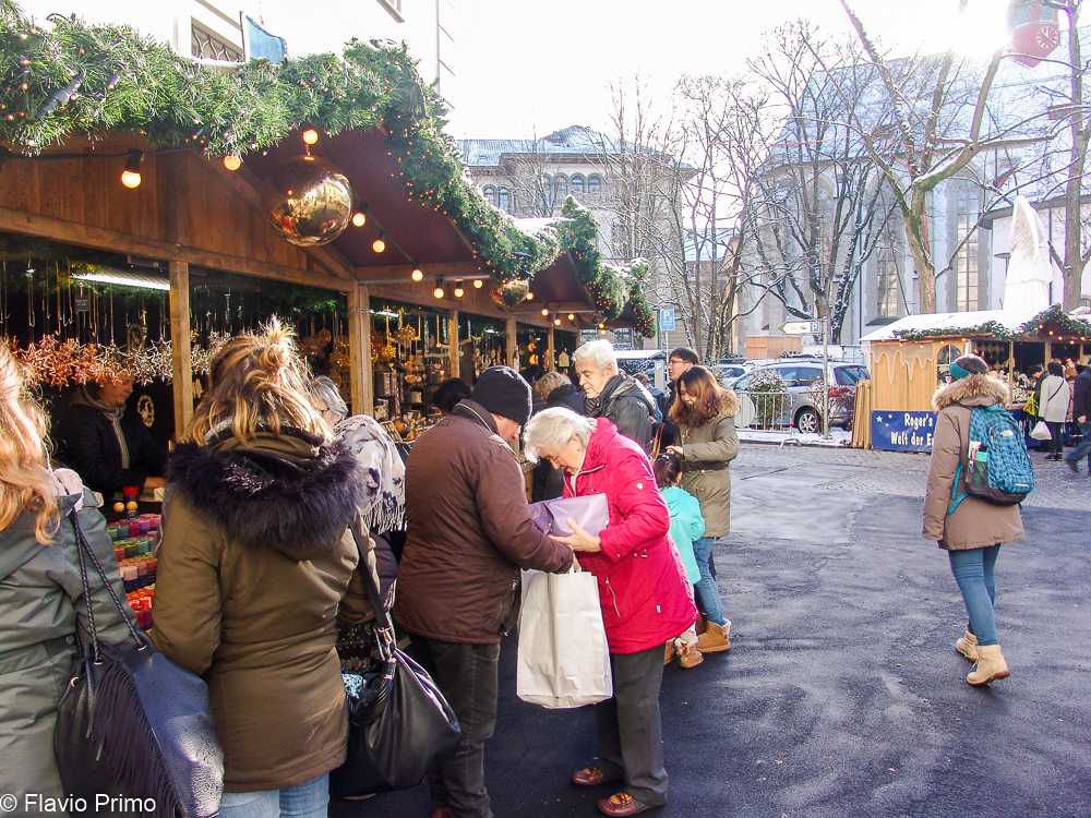 photo in the gallery