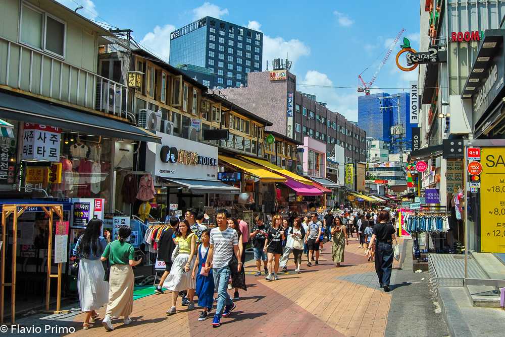 photo in the gallery