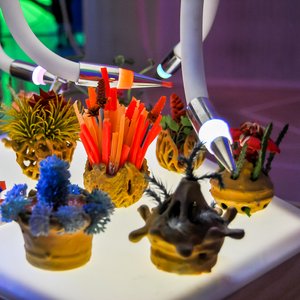 big size photo in the gallery