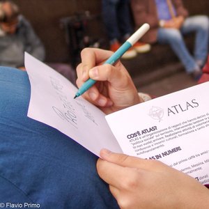 big size photo in the gallery