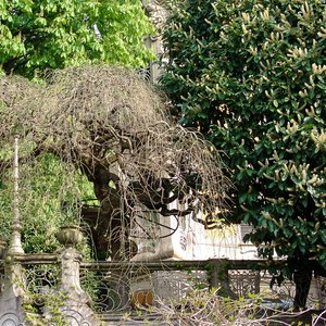 big size photo in the gallery