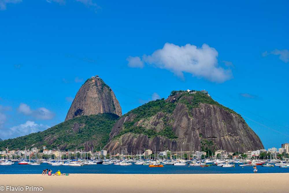 photo in the gallery