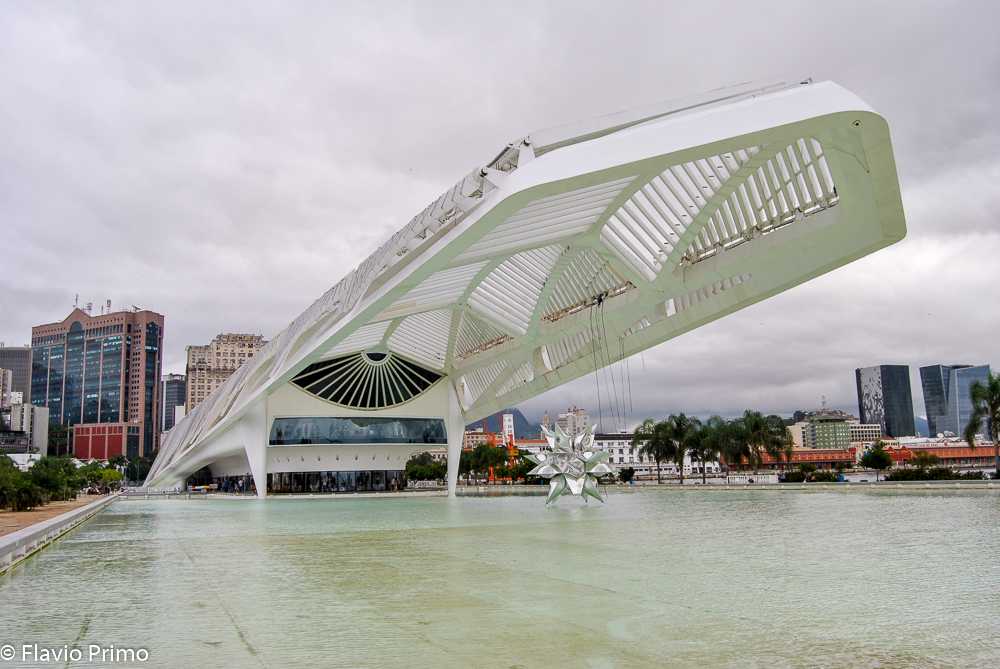 photo in the gallery