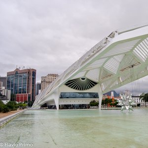 big size photo in the gallery