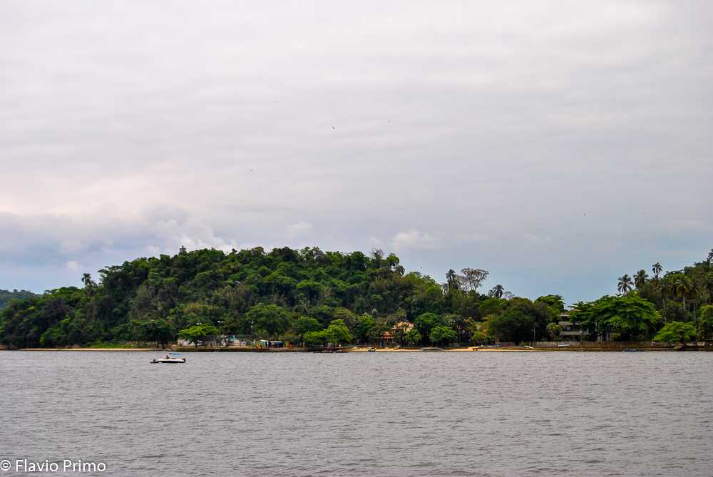 photo in the gallery