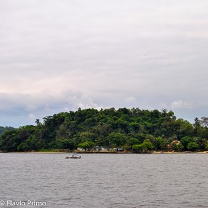 big size photo in the gallery