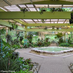 big size photo in the gallery