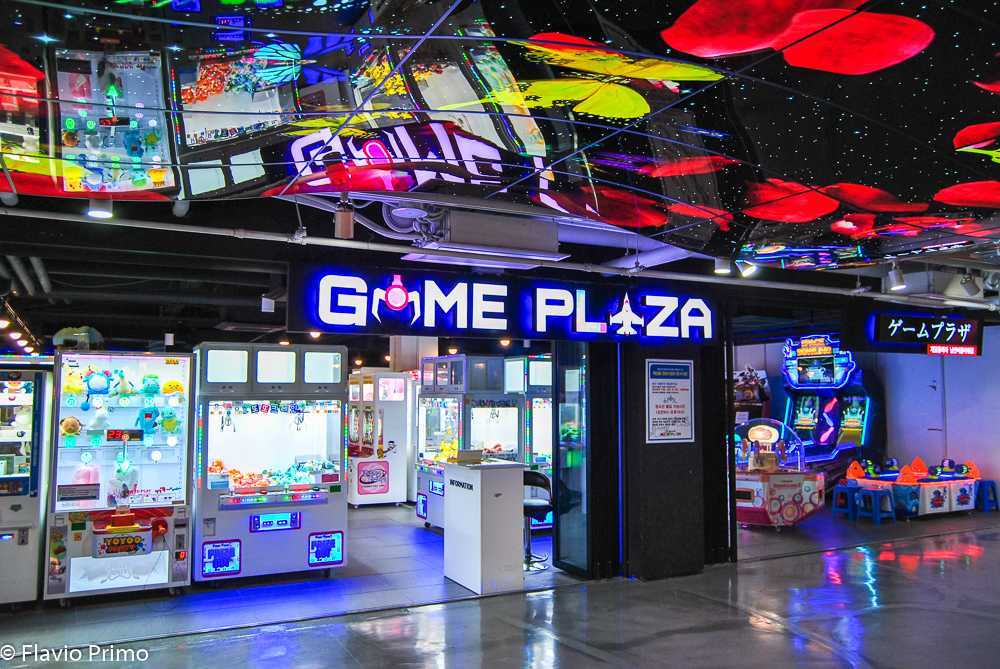 photo in the gallery