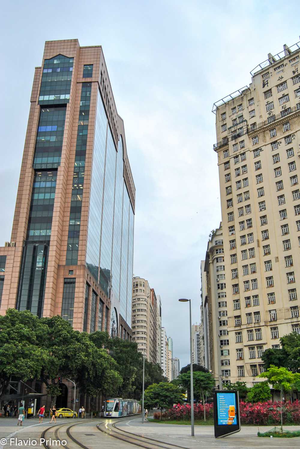 photo in the gallery