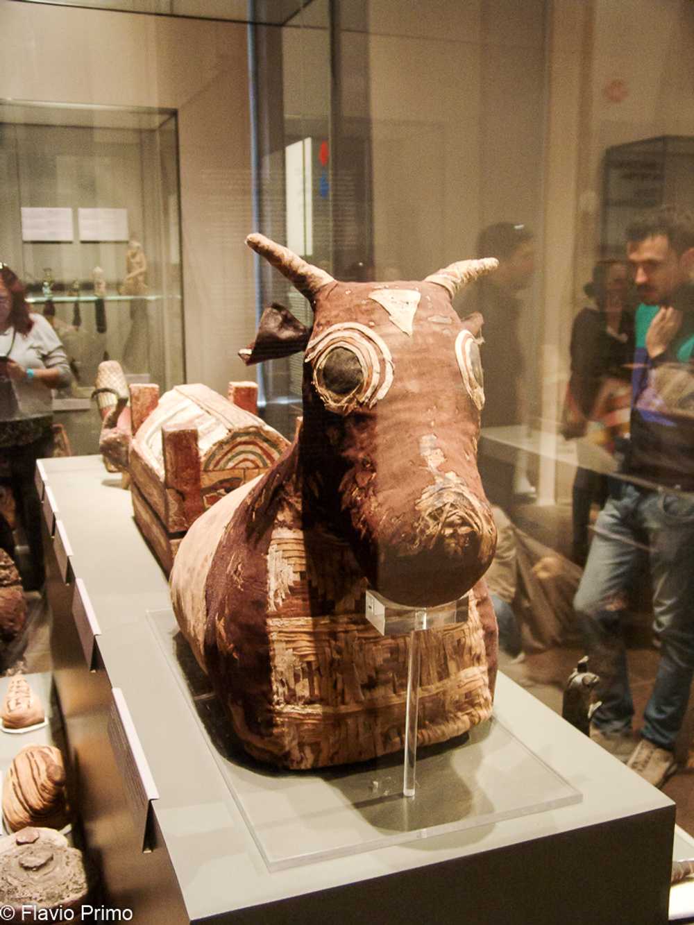 photo in the gallery