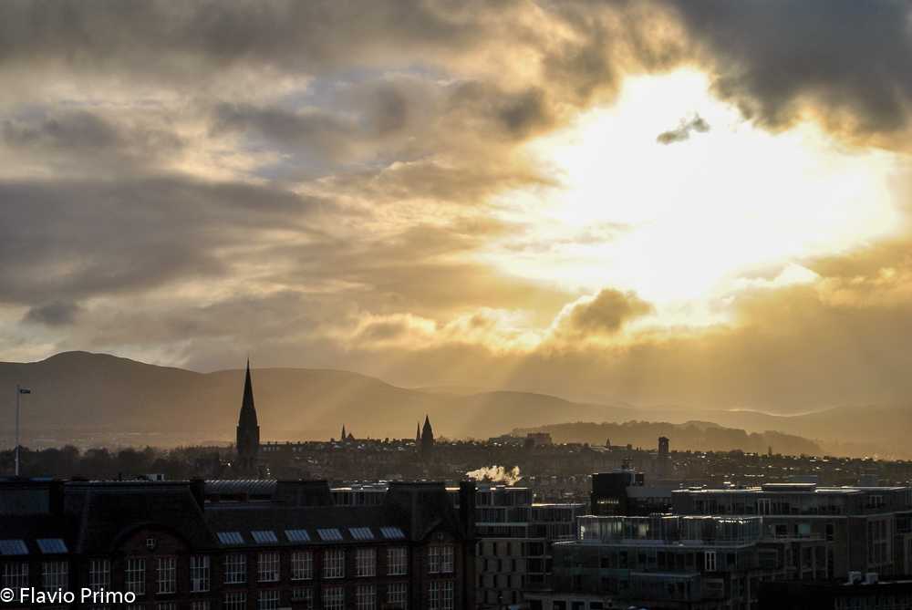 photo in the gallery