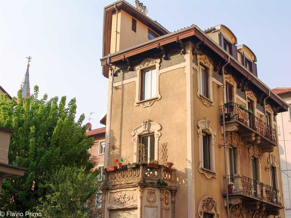 photo in the gallery