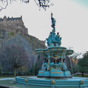 big size photo in the gallery