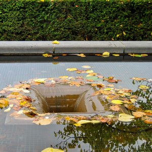 big size photo in the gallery