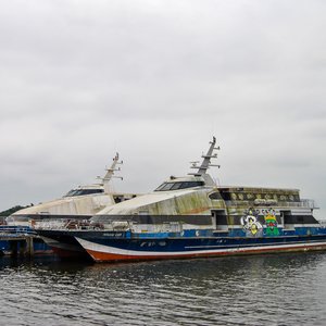 big size photo in the gallery