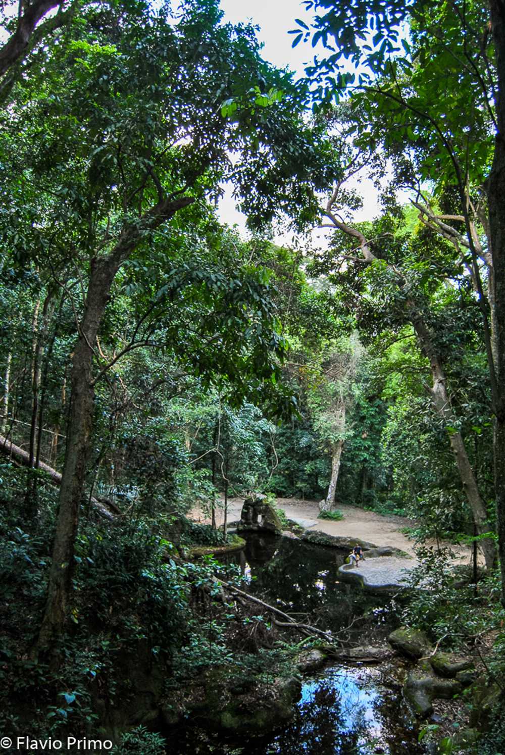 photo in the gallery