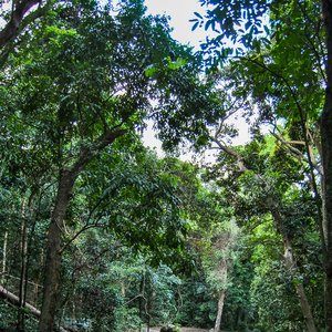 big size photo in the gallery