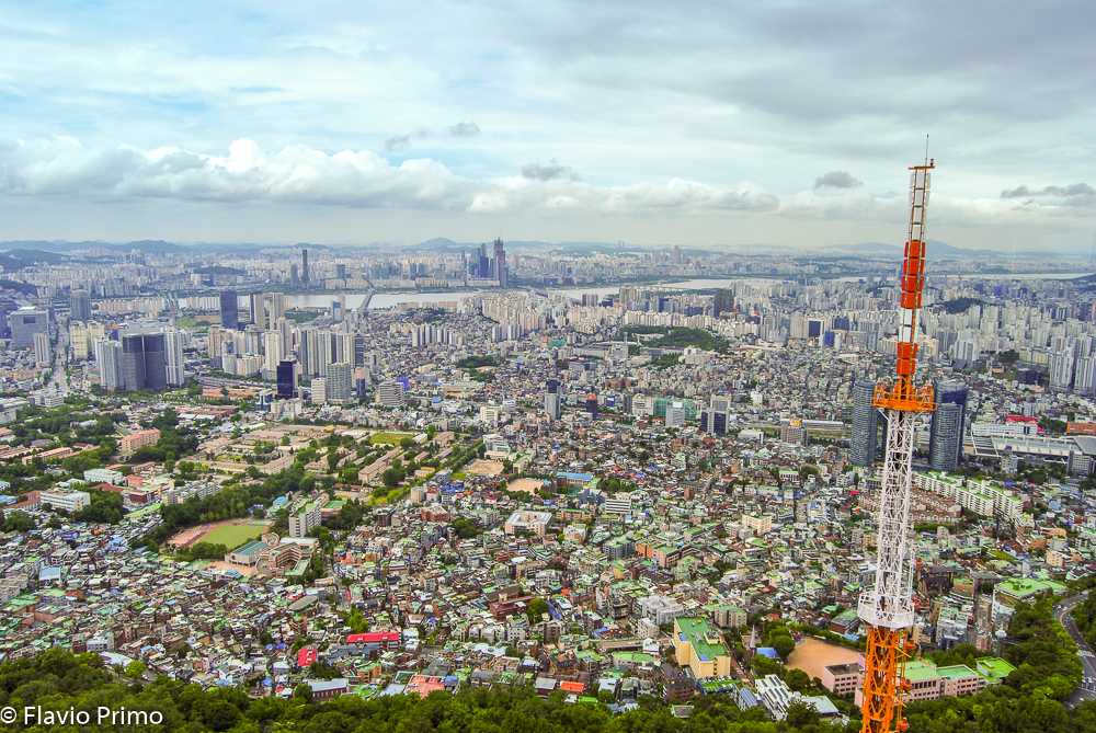 photo in the gallery