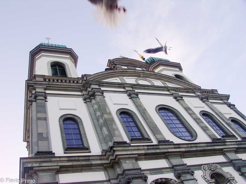 photo in the gallery