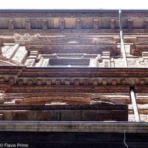 big size photo in the gallery