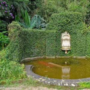 big size photo in the gallery