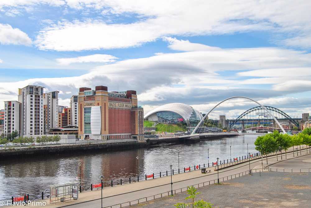 photo in the gallery