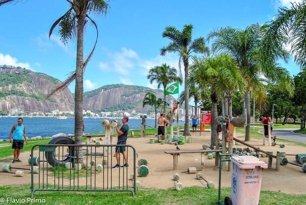 photo in the gallery