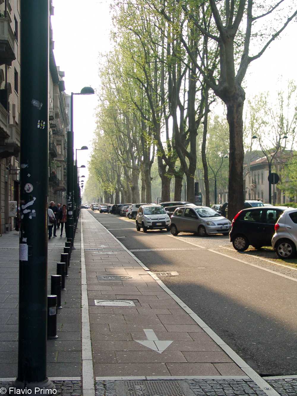 photo in the gallery