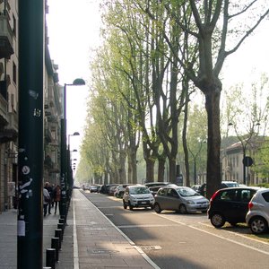 big size photo in the gallery