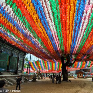 big size photo in the gallery