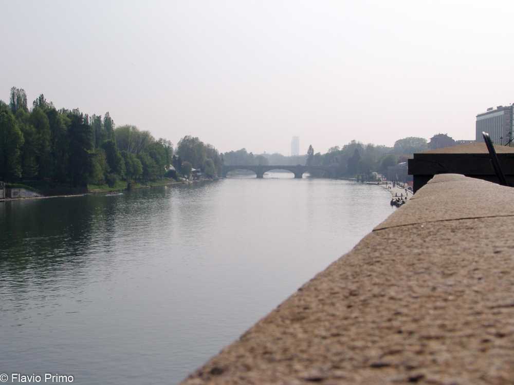 photo in the gallery