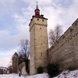 big size photo in the gallery