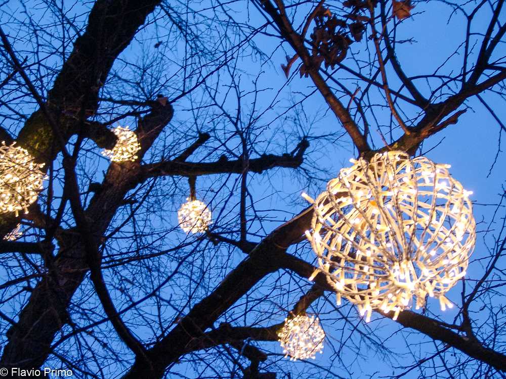 photo in the gallery