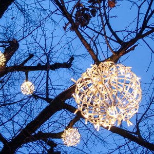 big size photo in the gallery