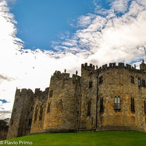 big size photo in the gallery