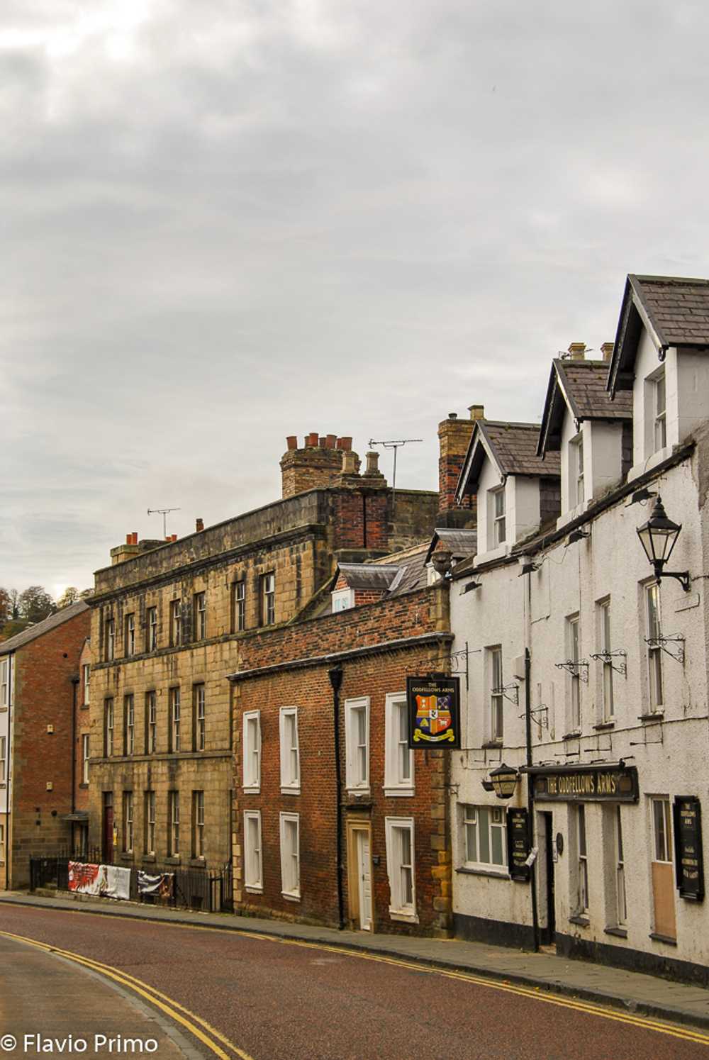 photo in the gallery