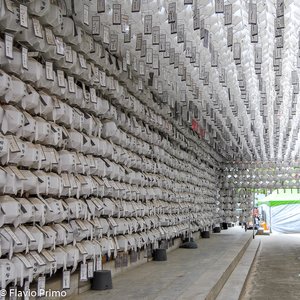 big size photo in the gallery