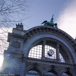 big size photo in the gallery